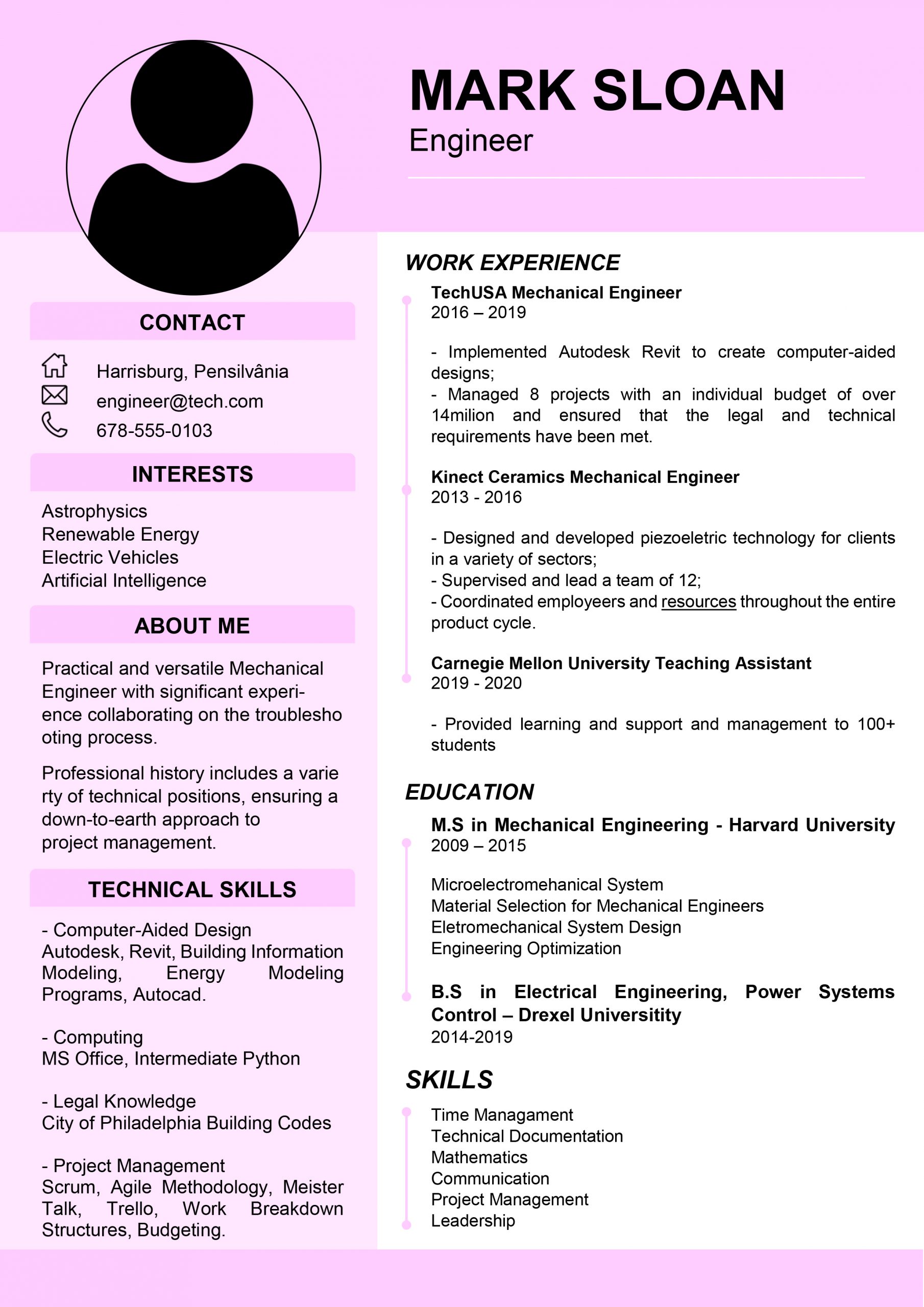 Professional CV