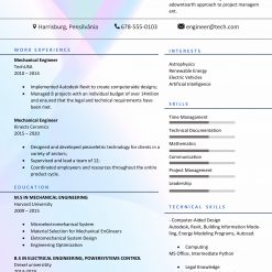 Resume Template 10