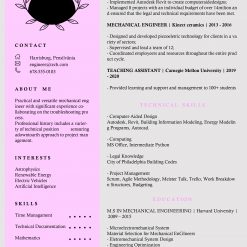 Resume Template 8