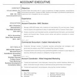 IDAA00006-resume-template-0009-white-1-page-Account-Executive-no-pic_V1