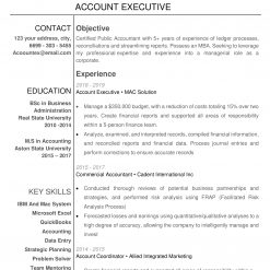 IDAA00007-resume-template-0009-white-1-page-Account-Executive-no-pic_V2