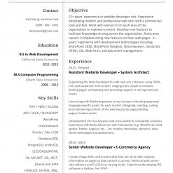 IDAA00019-resume-template-0003-white-1-page-Developer-no-pic_