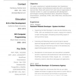 IDAA00020-resume-template-0003-white-1-page-Developer-no-pic_V1