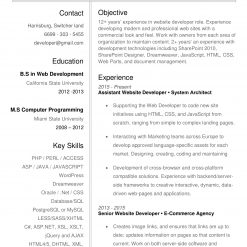 IDAA00021-resume-template-0003-white-1-page-Developer-no-pic_V2