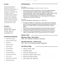 IDAA00022-resume-template-0018-white-1-page-Web-Developer-no-pic_V1