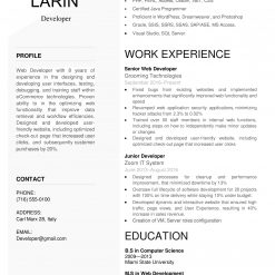 IDAA00024-resume-template-0020-white-1-page-Developer-no pic_V1