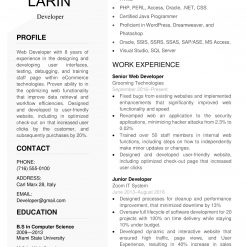 IDAA00025-resume-template-0020-white-1-page-Developer-no pic_V2