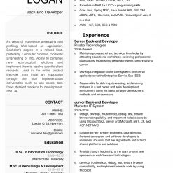 IDAA00026-resume-template-0021-white-1-page-Back-end Developer-no pic_V1