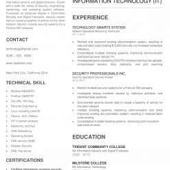 IDAA00036-resume-template-0013-white-1-page-Information-Technology-no-pic_V1