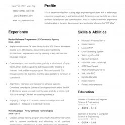 IDAA00043-resume-template-0005-white-1-page-Software-Engineer-no-pic_V1