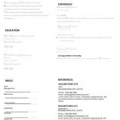 IDAA00083-Resume-Template-0013-minimal-1-Page-Graphics_Designer-No_pic