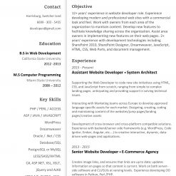 IDAA00088-resume-template-0003-white-1-page-Developer-no-pic_-1