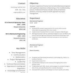 IDAA00089-resume-template-0003-white-1-page-Web_Developer-no_pic-1