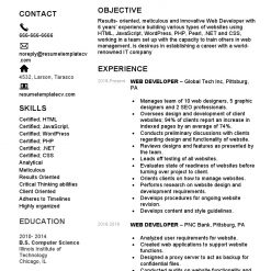 IDBB000068-resume-template-white-2-page-Web-Developer-with_pic1