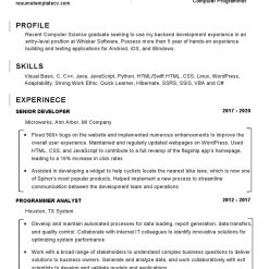 IDBB000070-resume-template-white-2-page-Computer-Programmer-no_pic1